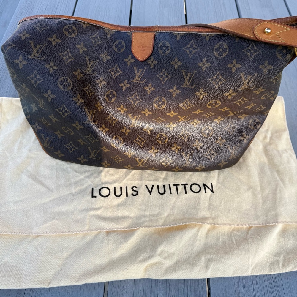 Authentic Louis Vuitton Delightful PM bag (with dust bag)
